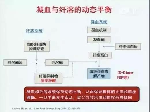 水蛭素，新型冠狀病毒。肺炎