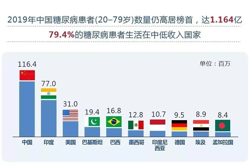 水蛭素、血糖、糖尿病