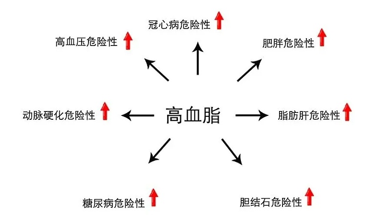 水蛭素、血脂高、血脂異常