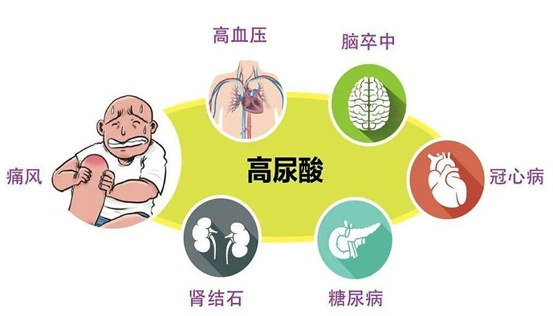 水蛭素、高尿酸、痛風