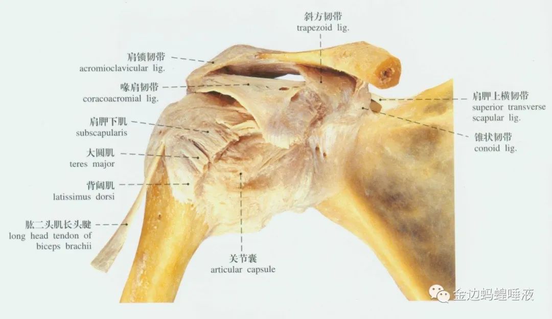 真實(shí)案例 | 腕關(guān)節(jié)囊積液，發(fā)炎腫脹，疼痛難忍，真就對它沒辦法嗎？