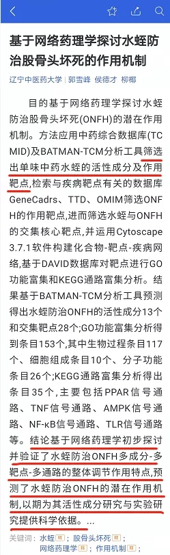 水蛭素-股骨頭壞死-水蛭通脈湯